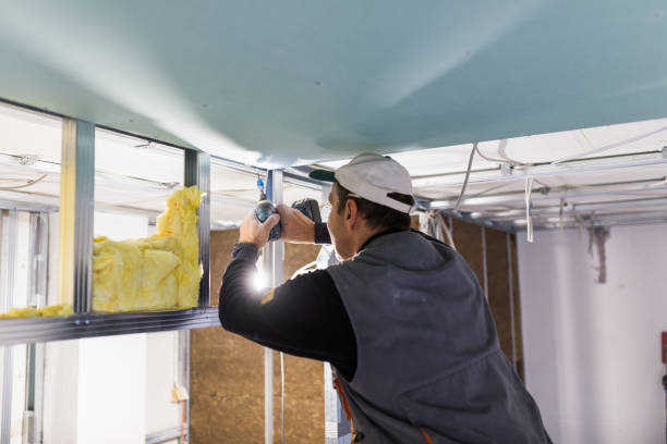 Best Local Insulation Services  in Castle Shannon, PA