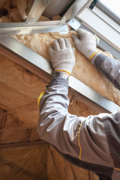 Best Residential Insulation Services  in Castle Shannon, PA