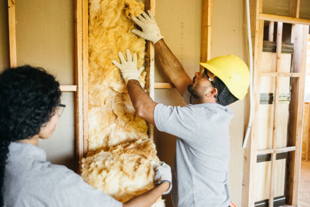 Best Insulation Removal Services  in Castle Shannon, PA