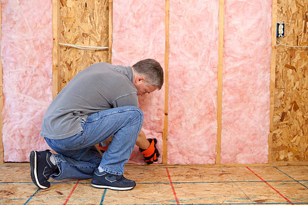 Best Crawl Space Insulation  in Castle Shannon, PA